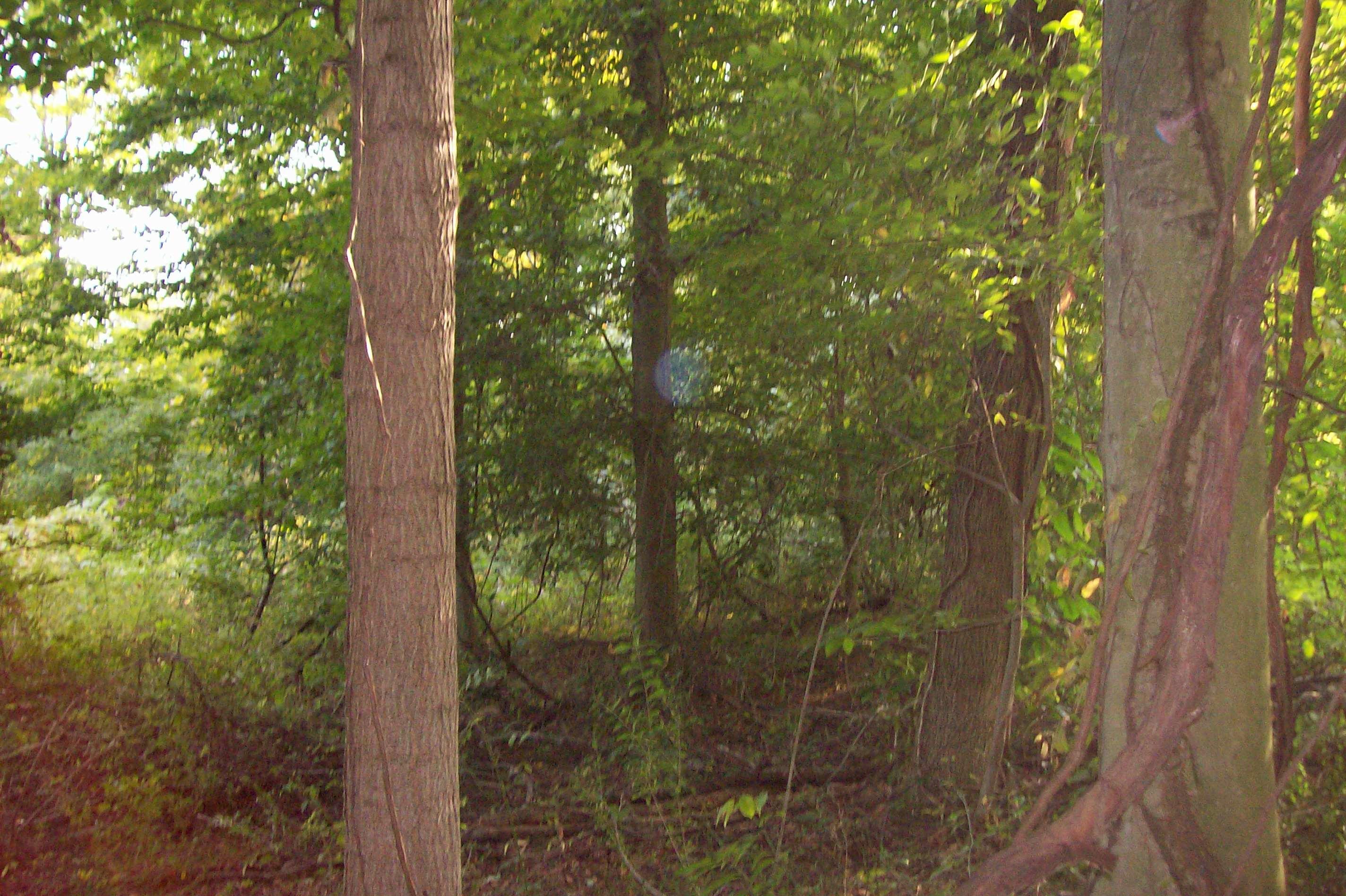 0 Johnstown Utica Road Utica, OH 43080 - Photo 7 of 11