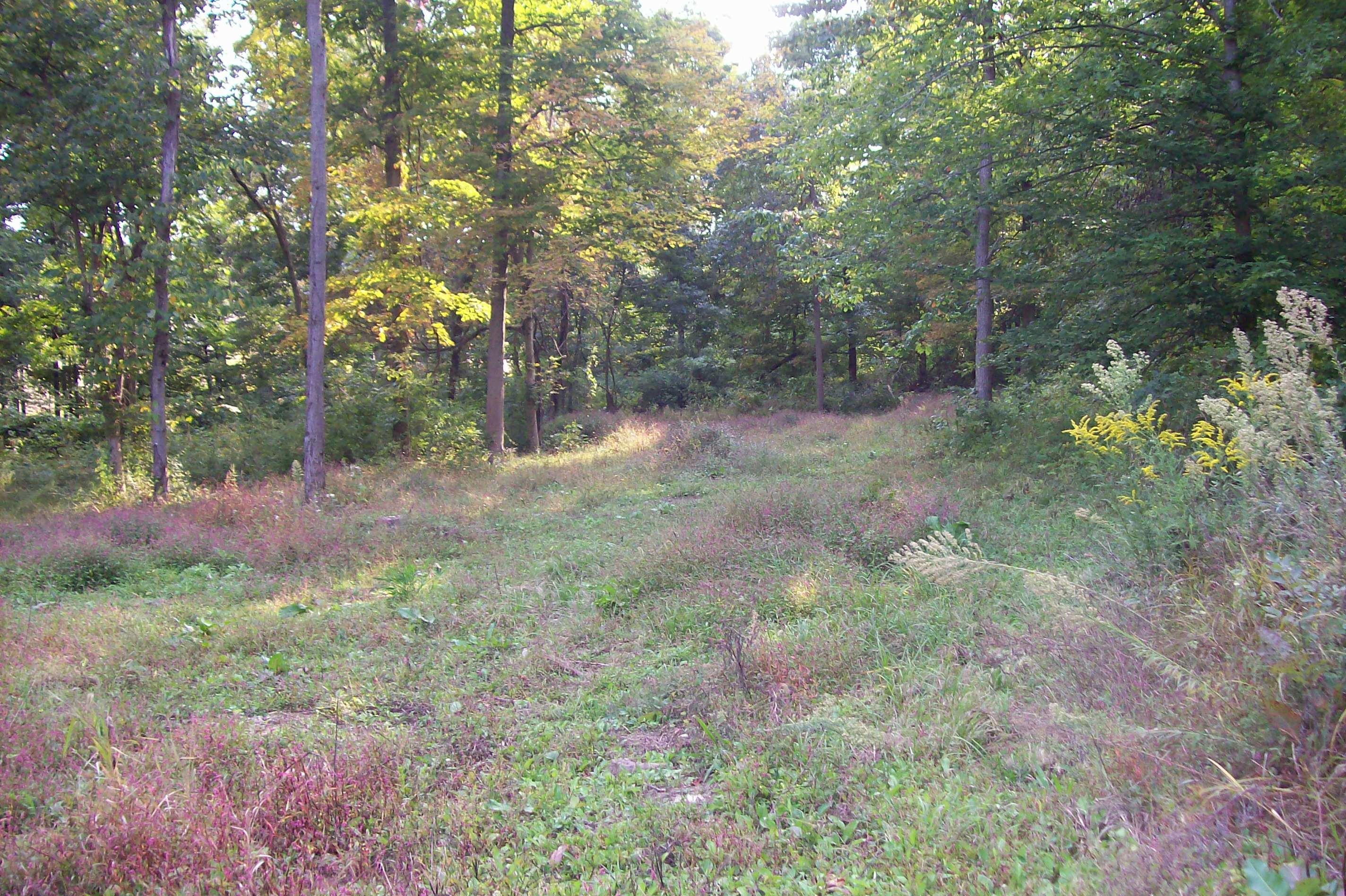 0 Johnstown Utica Road Utica, OH 43080 - Photo 9 of 11