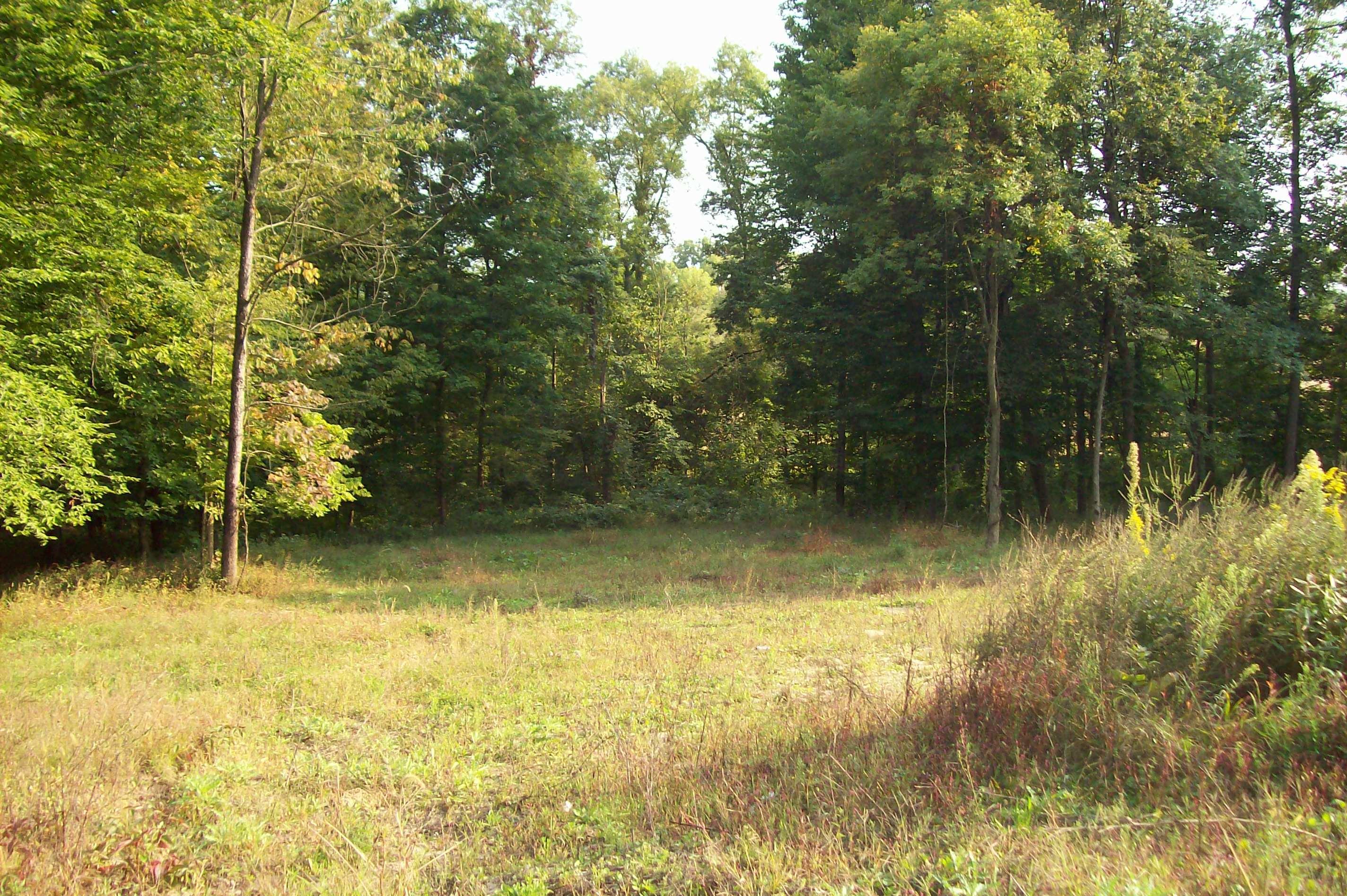 0 Johnstown Utica Road Utica, OH 43080 - Photo 10 of 11