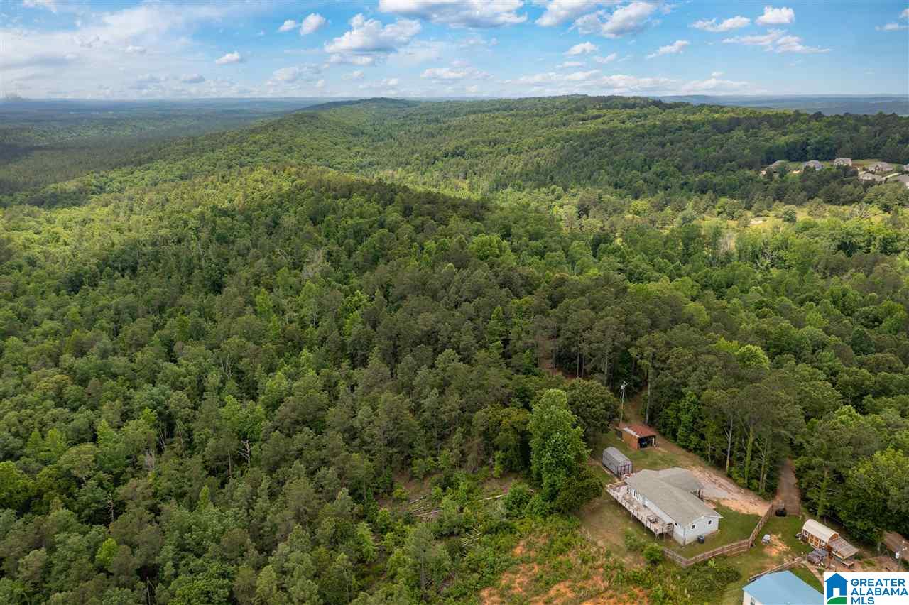 344 Roubdioux Road Bessemer, AL 35022 - Photo 29 of 37 Gallery Image 29