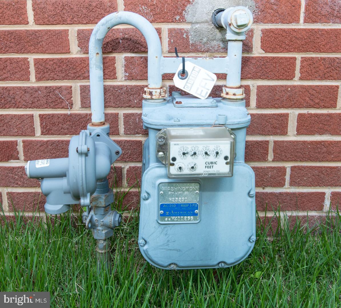 1211 Burketon Road Hyattsville, MD 20783 - Photo 27 of 35 Gas Meter