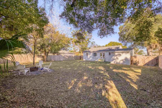 a view of a yard with plants and trees