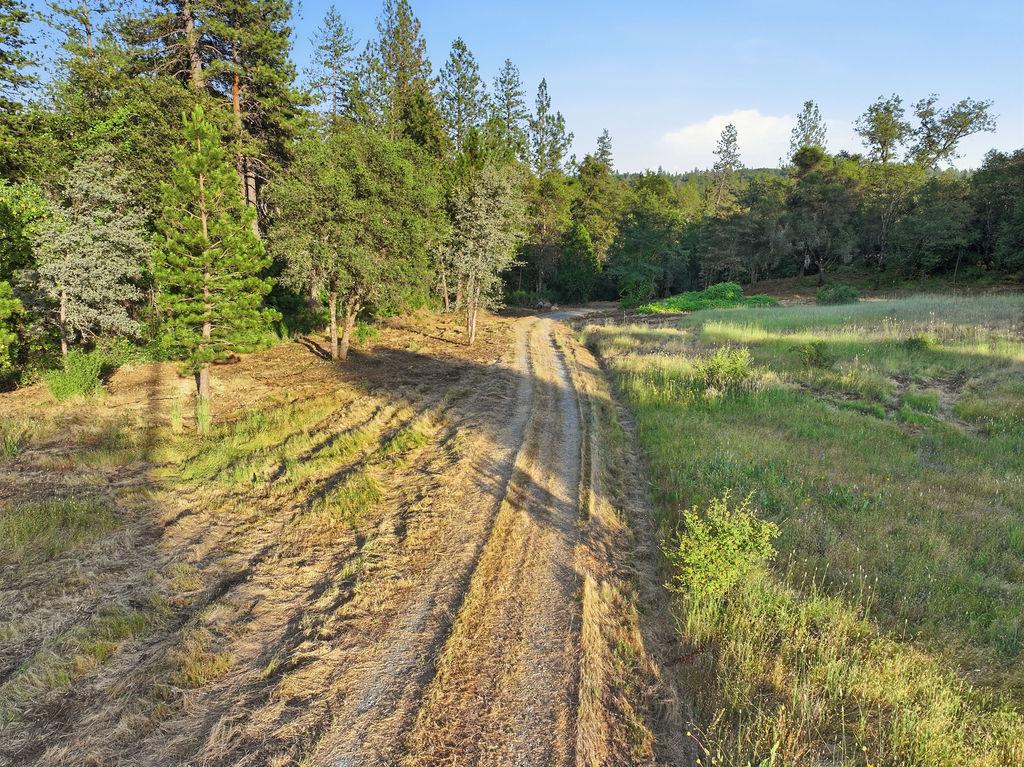 12998 Tyler Foote Road Nevada City, CA 95959 - Photo 4 of 33 a view of a yard