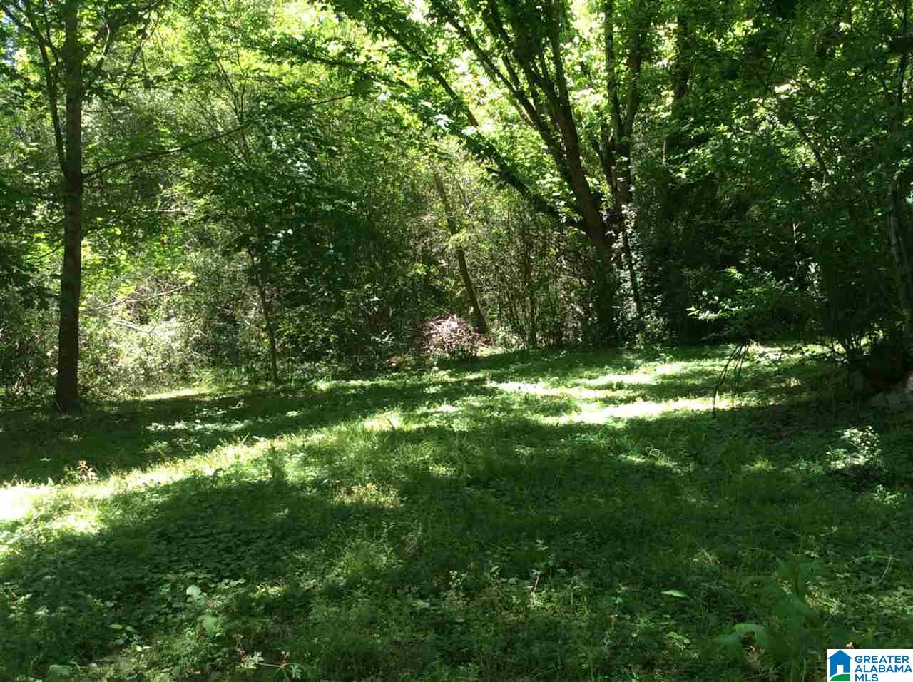 135 Rae Street Odenville, AL 35120 - Photo 5 of 6