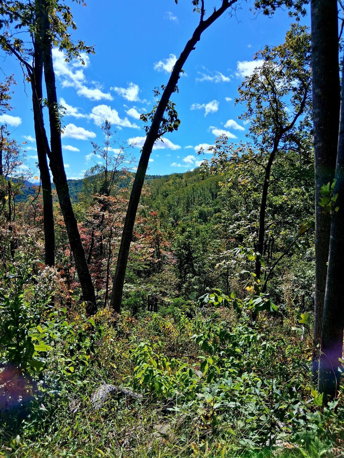 0 Mt Horeb Road Amherst, VA 24521 - Photo 14 of 24