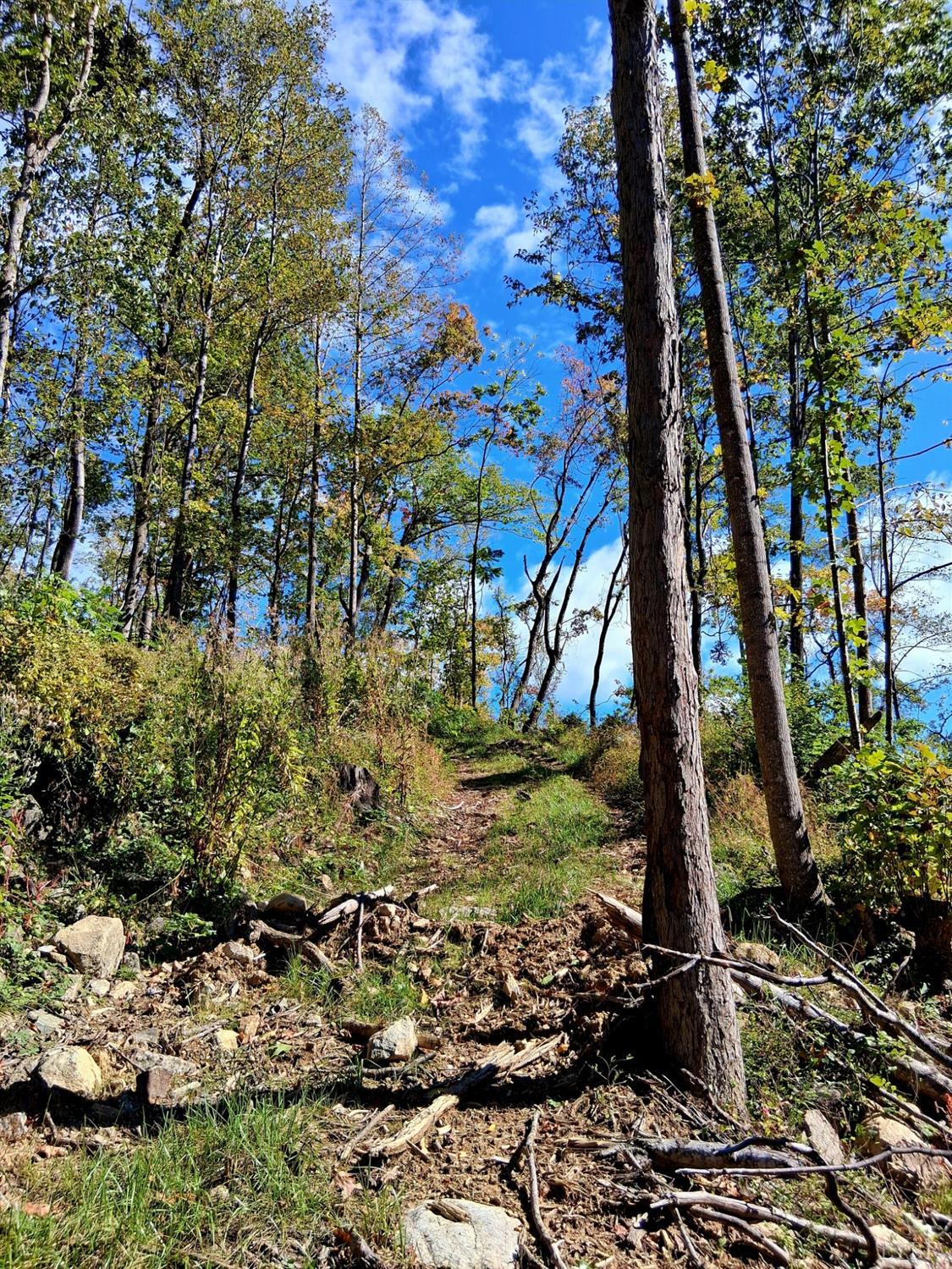 0 Mt Horeb Road Amherst, VA 24521 - Photo 15 of 24 a view of a yard
