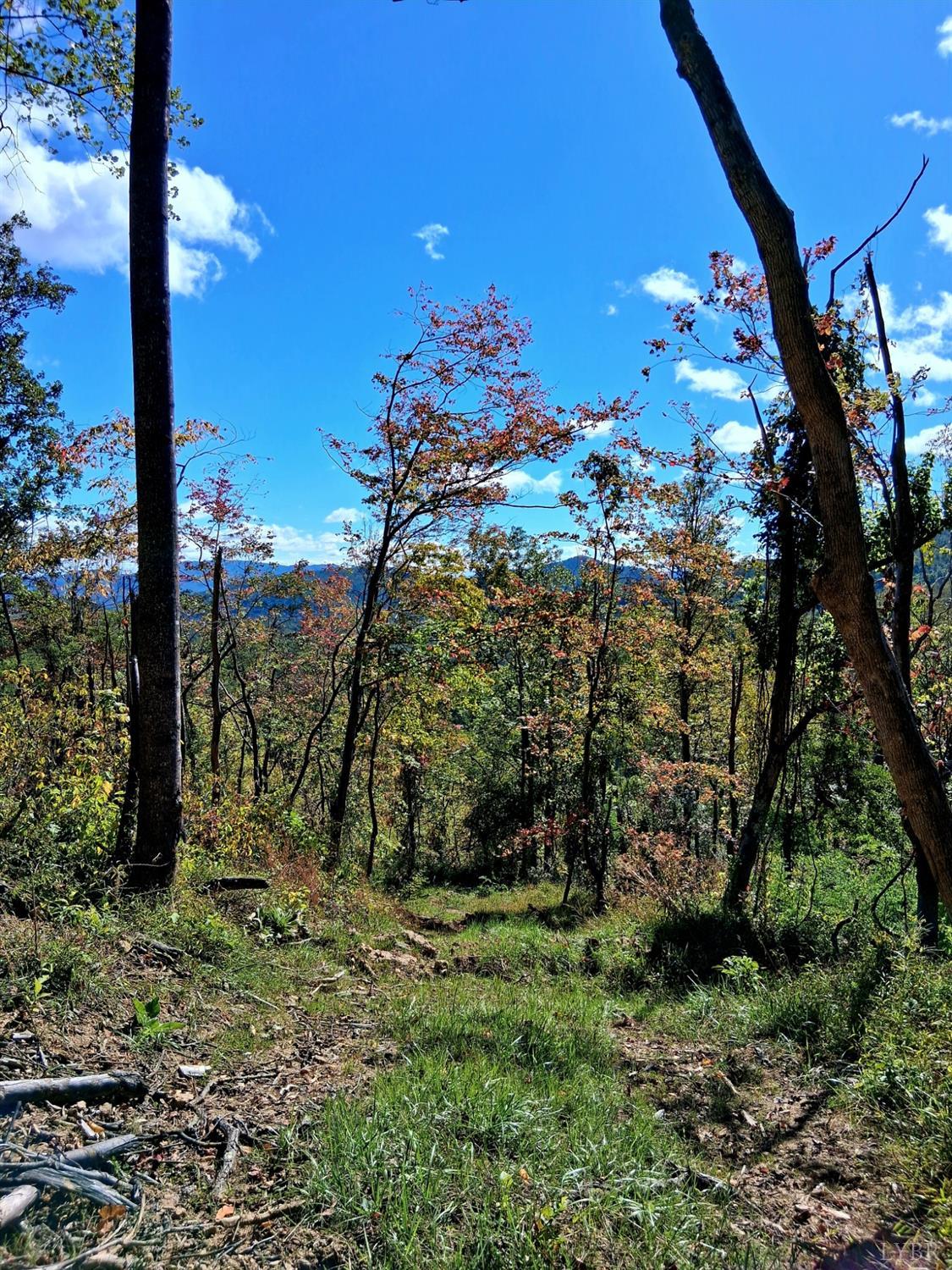 0 Mt Horeb Road Amherst, VA 24521 - Photo 16 of 24 a view of a pathway