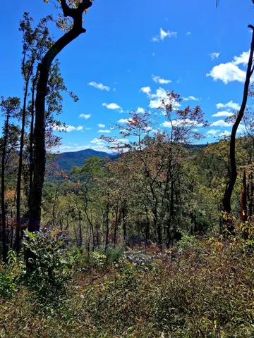a big yard with lots of green space