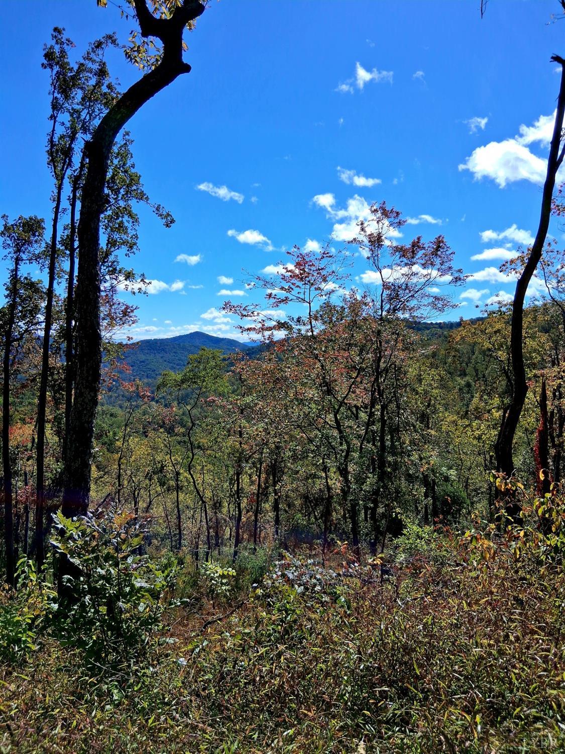0 Mt Horeb Road Amherst, VA 24521 - Photo 18 of 24 a view of a house with a yard