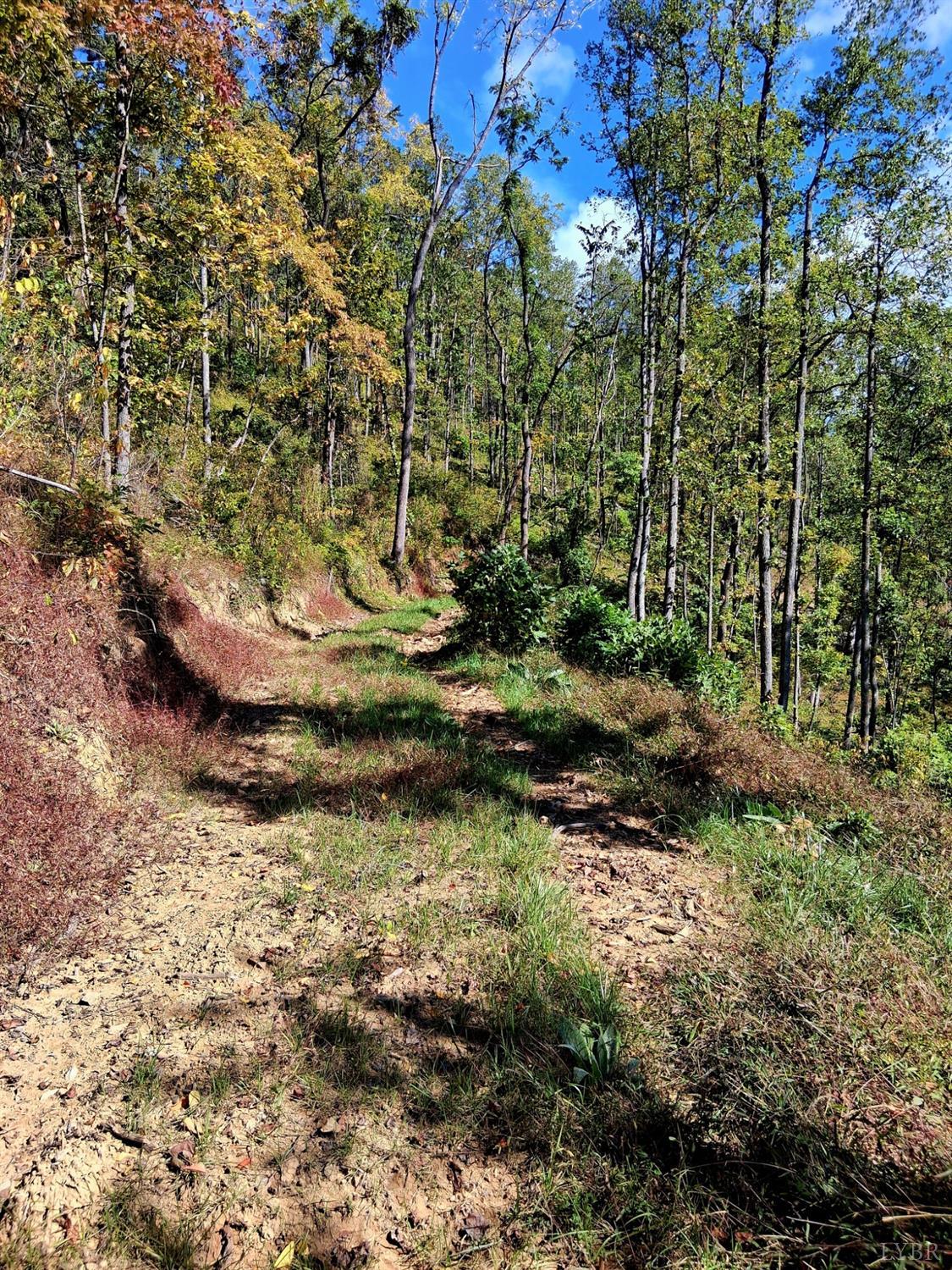 0 Mt Horeb Road Amherst, VA 24521 - Photo 20 of 24 a view of a bird of the house
