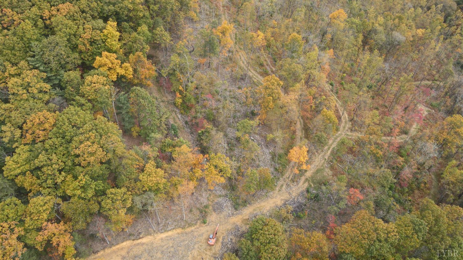 0 Mt Horeb Road Amherst, VA 24521 - Photo 23 of 24 a close up of a plant