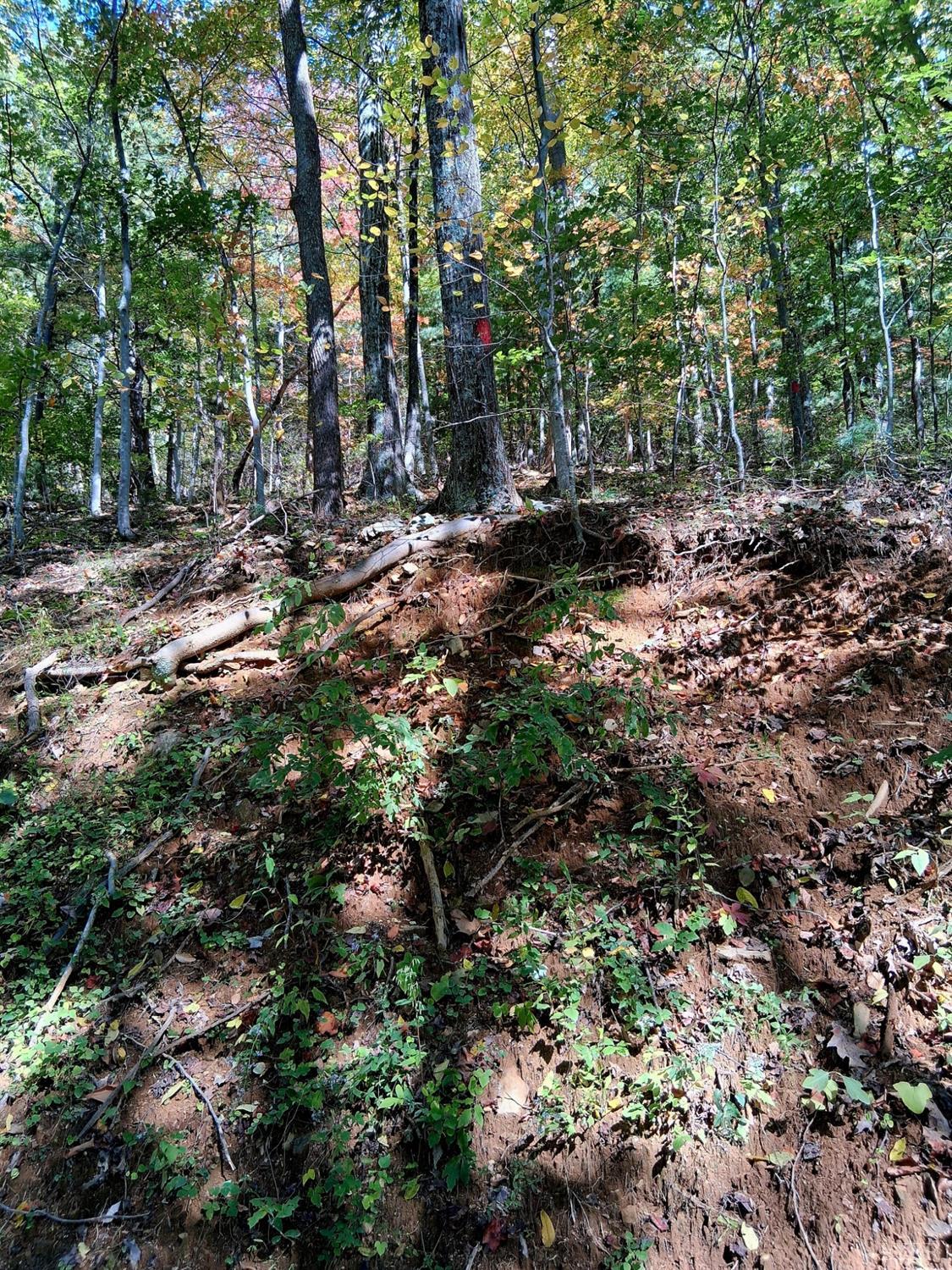 0 Mount Horeb Road Amherst, VA 24521 - Photo 23 of 24 a view of outdoor space with trees