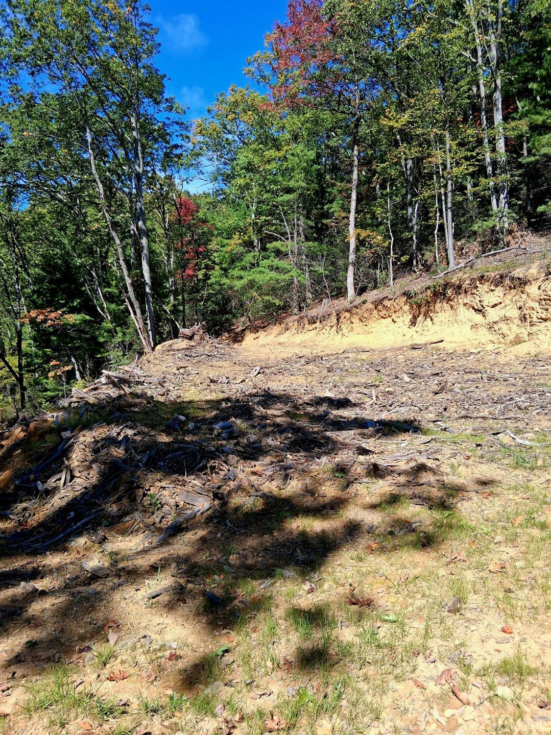 0 Mt Horeb Road Amherst, VA 24521 - Photo 3 of 24 a view of a house with a yard