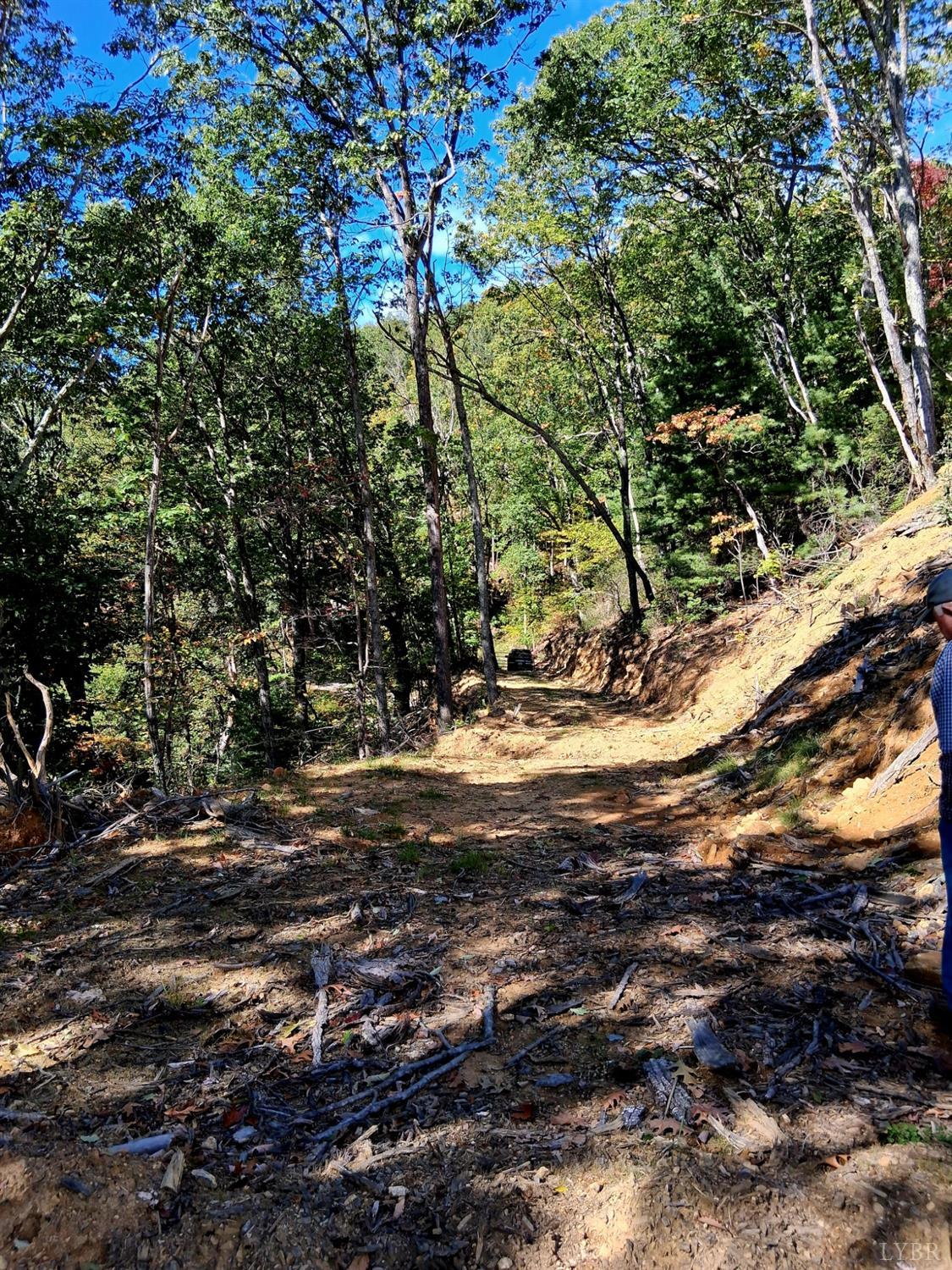0 Mt Horeb Road Amherst, VA 24521 - Photo 4 of 24 a view of yard
