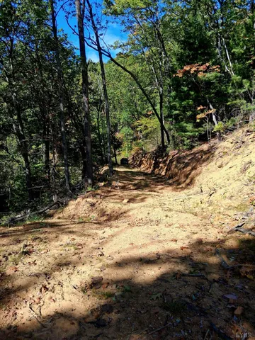 a view of a yard with wooden fence