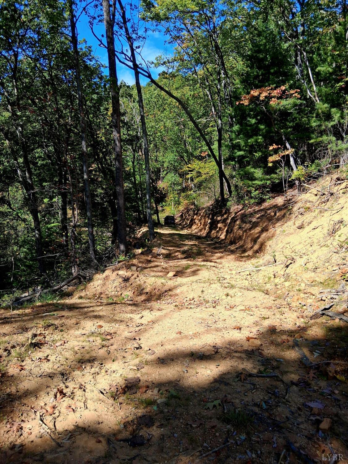 0 Mt Horeb Road Amherst, VA 24521 - Photo 5 of 24 a view of a yard with wooden fence