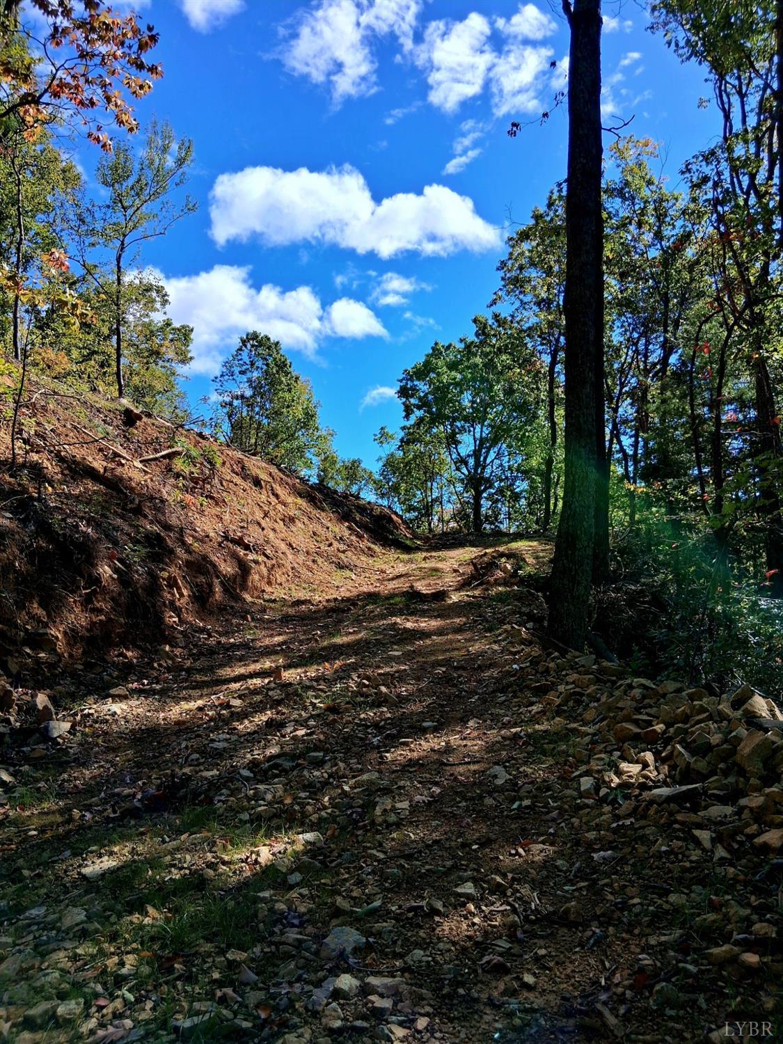 0 Mt Horeb Road Amherst, VA 24521 - Photo 6 of 24 a view of a yard with plants