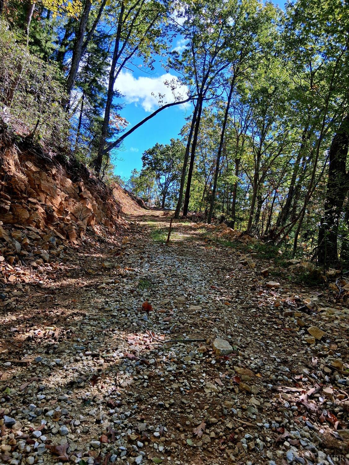 0 Mt Horeb Road Amherst, VA 24521 - Photo 7 of 24 a backyard of a house with lots of green space