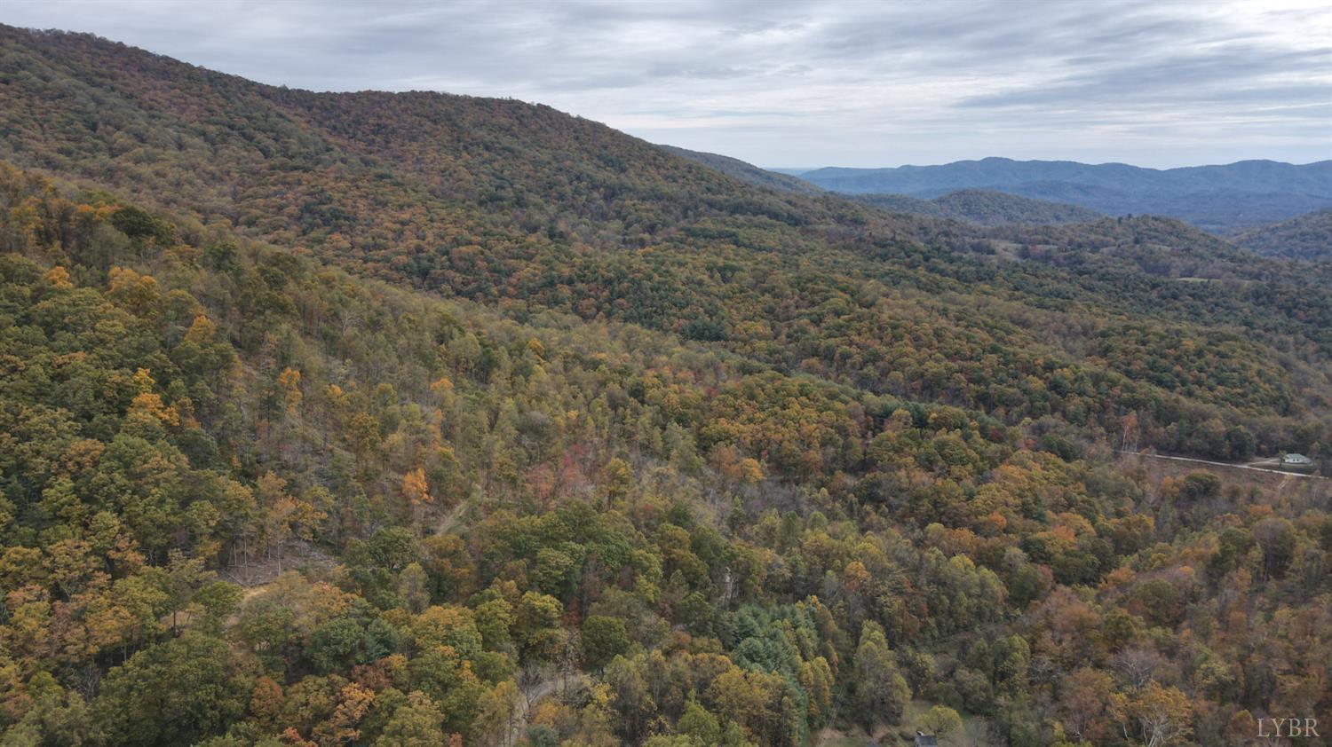 0 Mt Horeb Road Amherst, VA 24521 - Photo 10 of 24 a view of a dry yard with mountains in the background