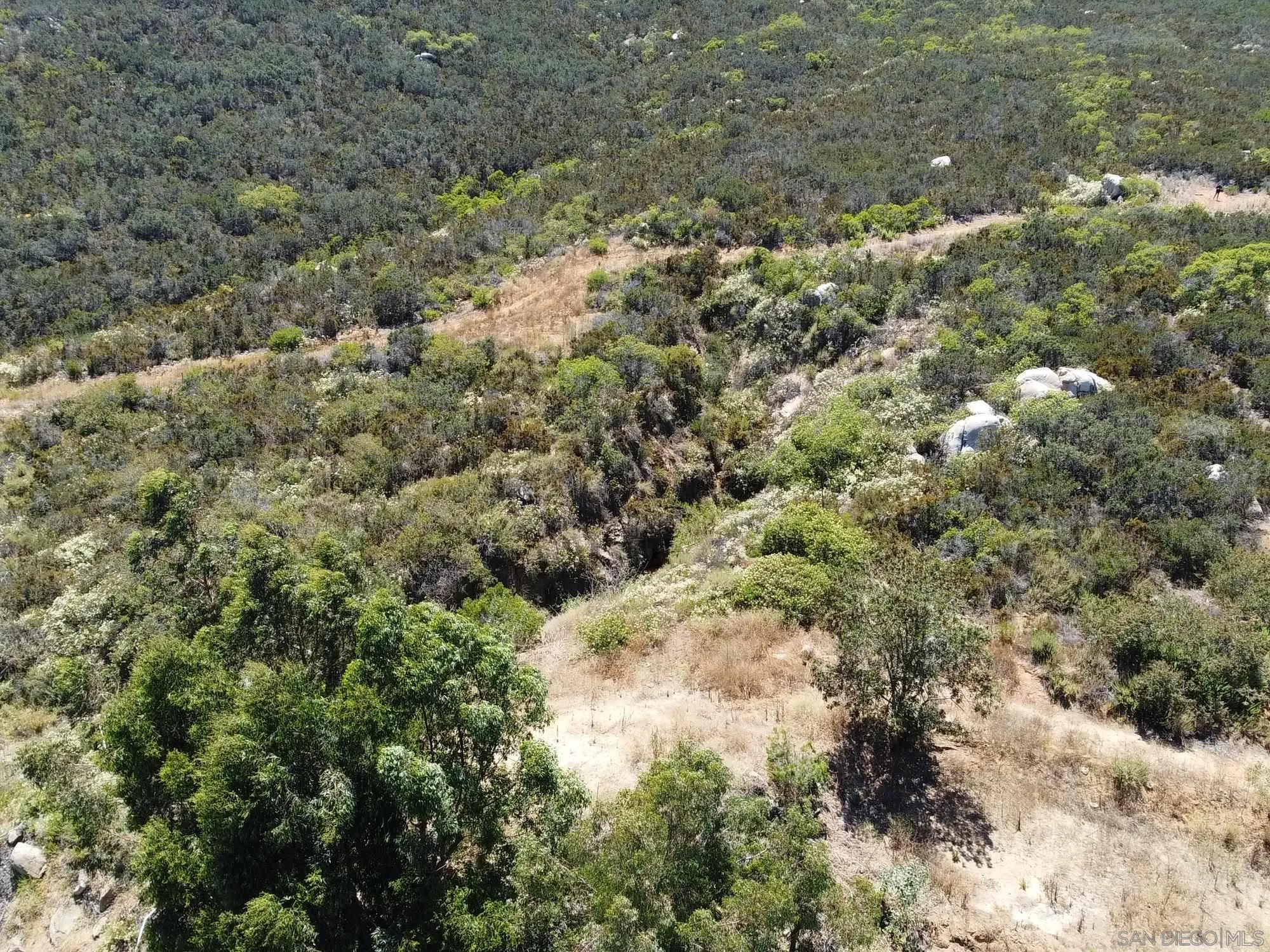 0 Midland Road, Unit 5 ACRE Poway, CA 92064 - Photo 4 of 7 a view of a forest with a tree