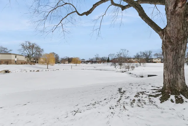 $210,000 | 7333 Grand Avenue, Unit 204, Downers Grove, IL 60516