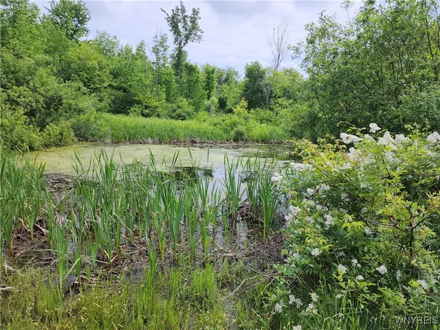 $107,000 | 77 Fox Trail, Sheldon, NY 14167