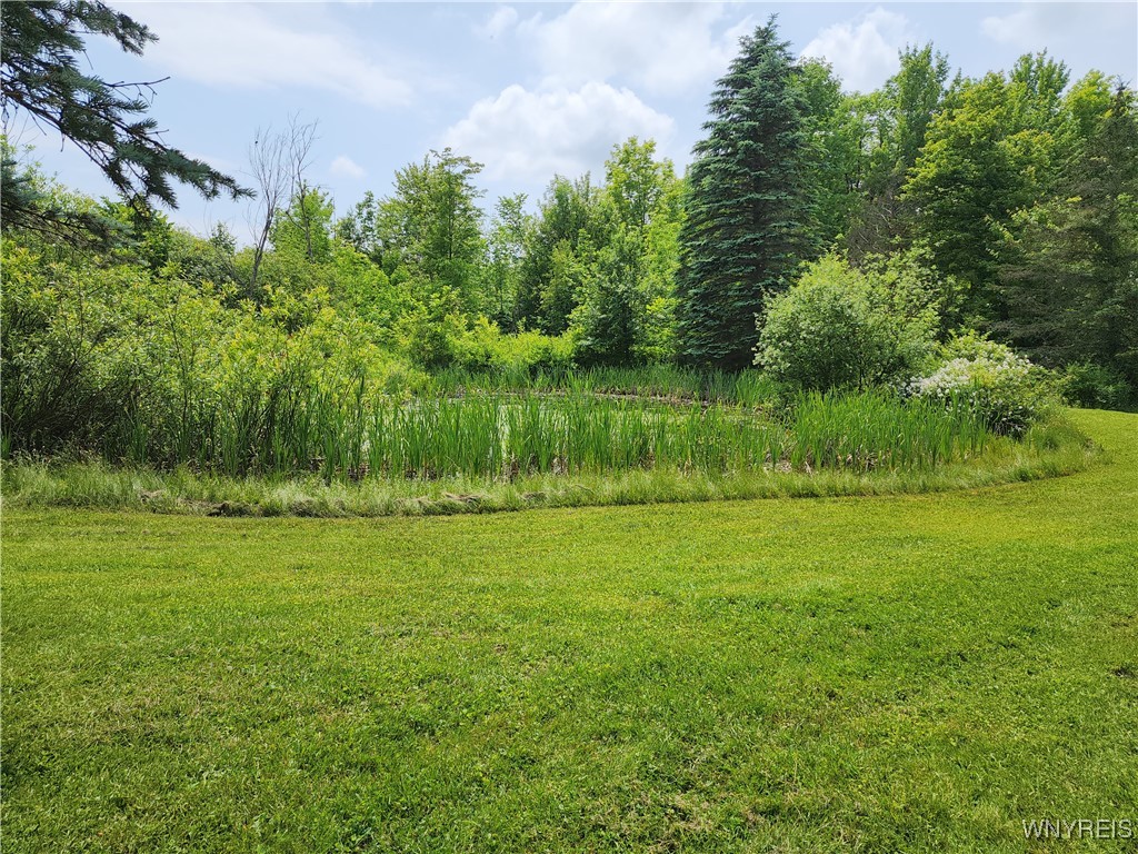 77 Fox Trail Sheldon, NY 14167 - Photo 30 of 34