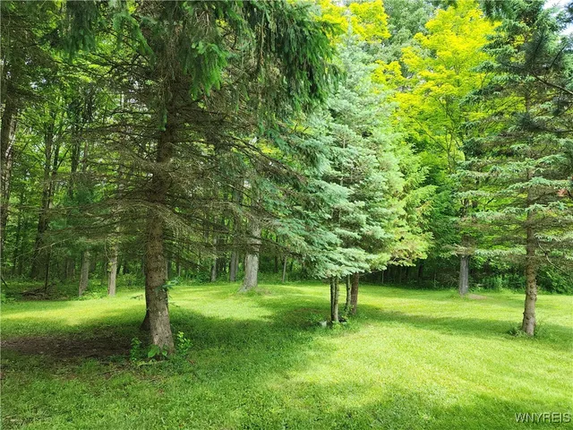 $107,000 | 77 Fox Trail, Sheldon, NY 14167