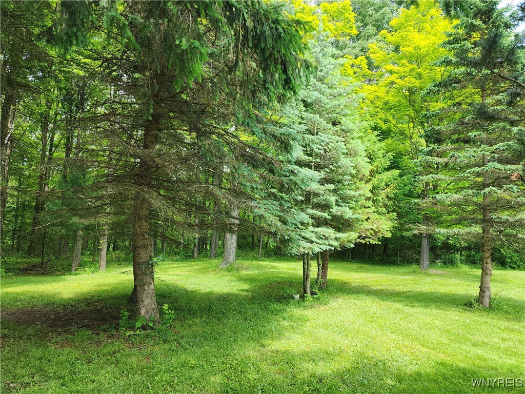 77 Fox Trail Sheldon, NY 14167 - Photo 31 of 34