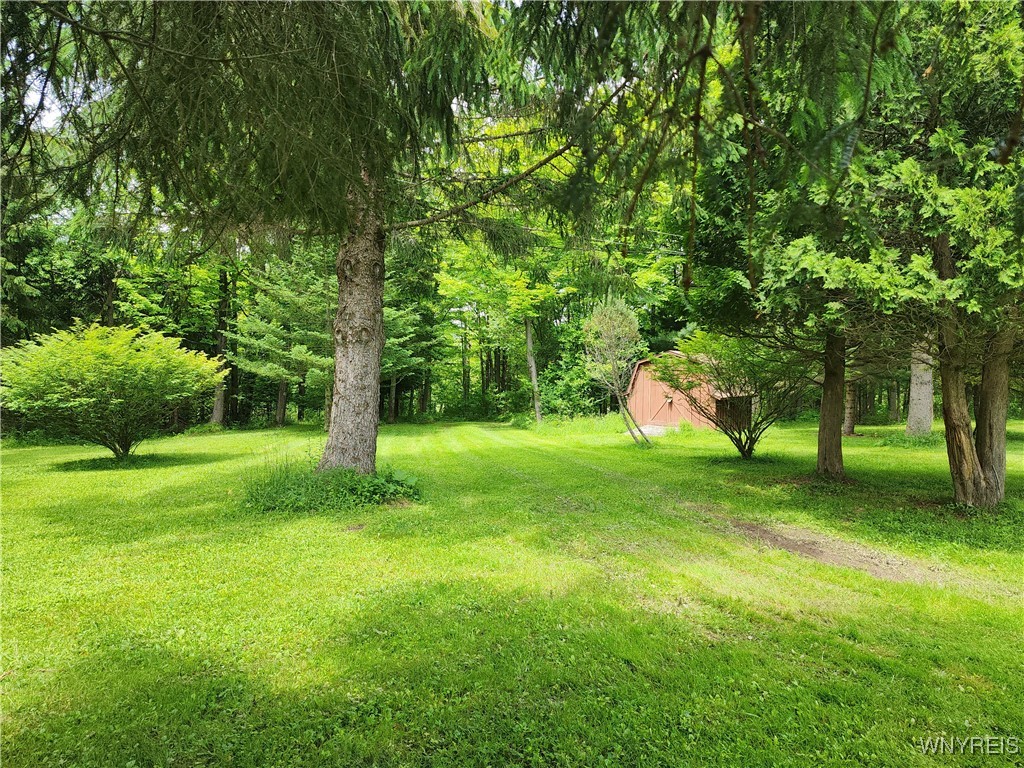 77 Fox Trail Sheldon, NY 14167 - Photo 33 of 34