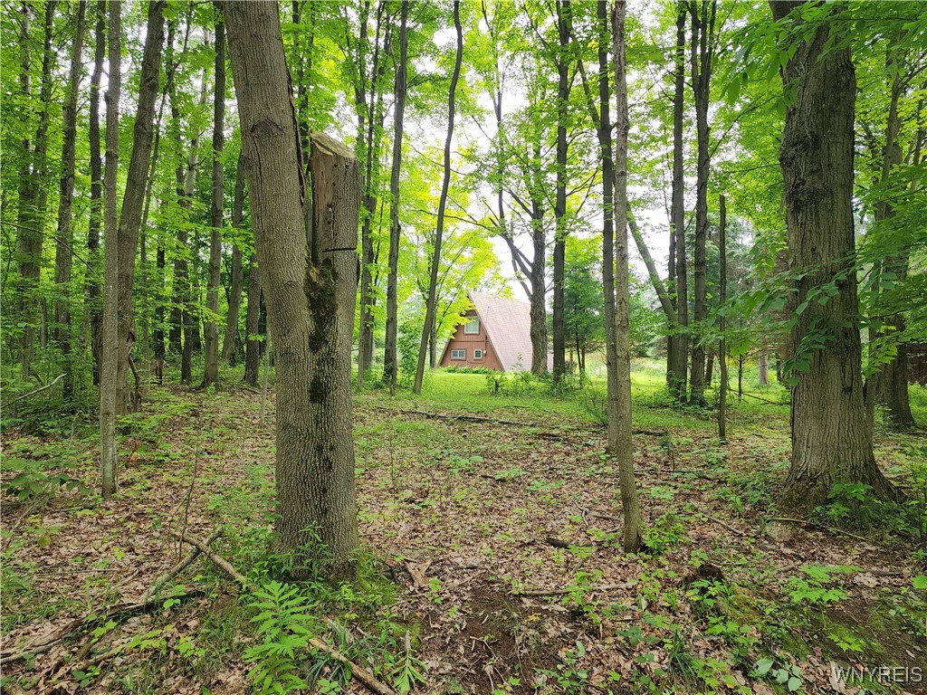 77 Fox Trail Sheldon, NY 14167 - Photo 5 of 34