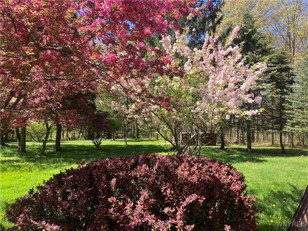 77 Fox Trail Sheldon, NY 14167 - Photo 6 of 34