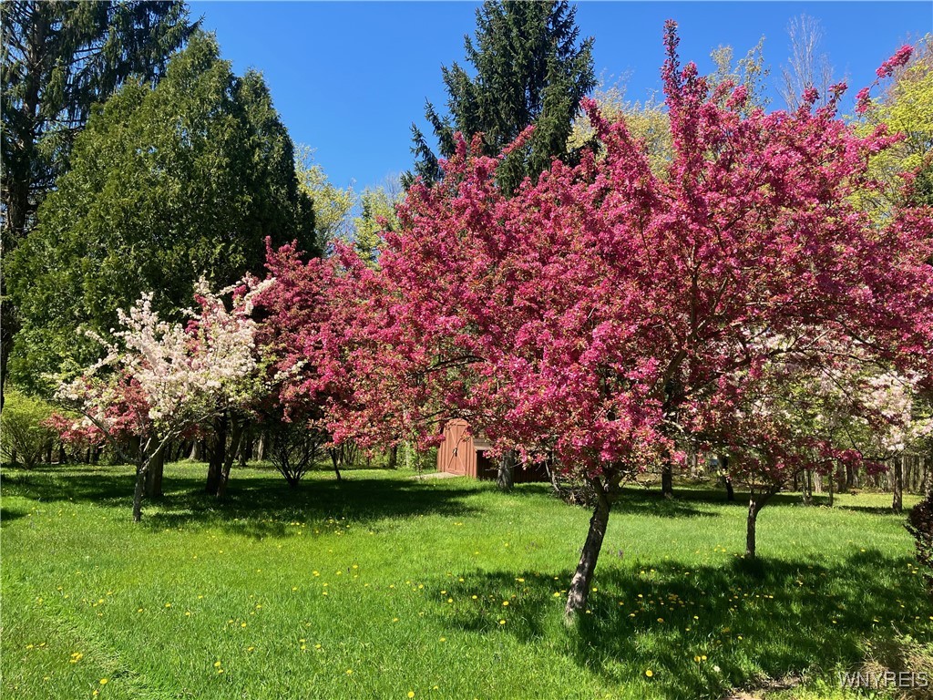 77 Fox Trail Sheldon, NY 14167 - Photo 7 of 34