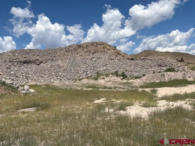 a view of a dry yard