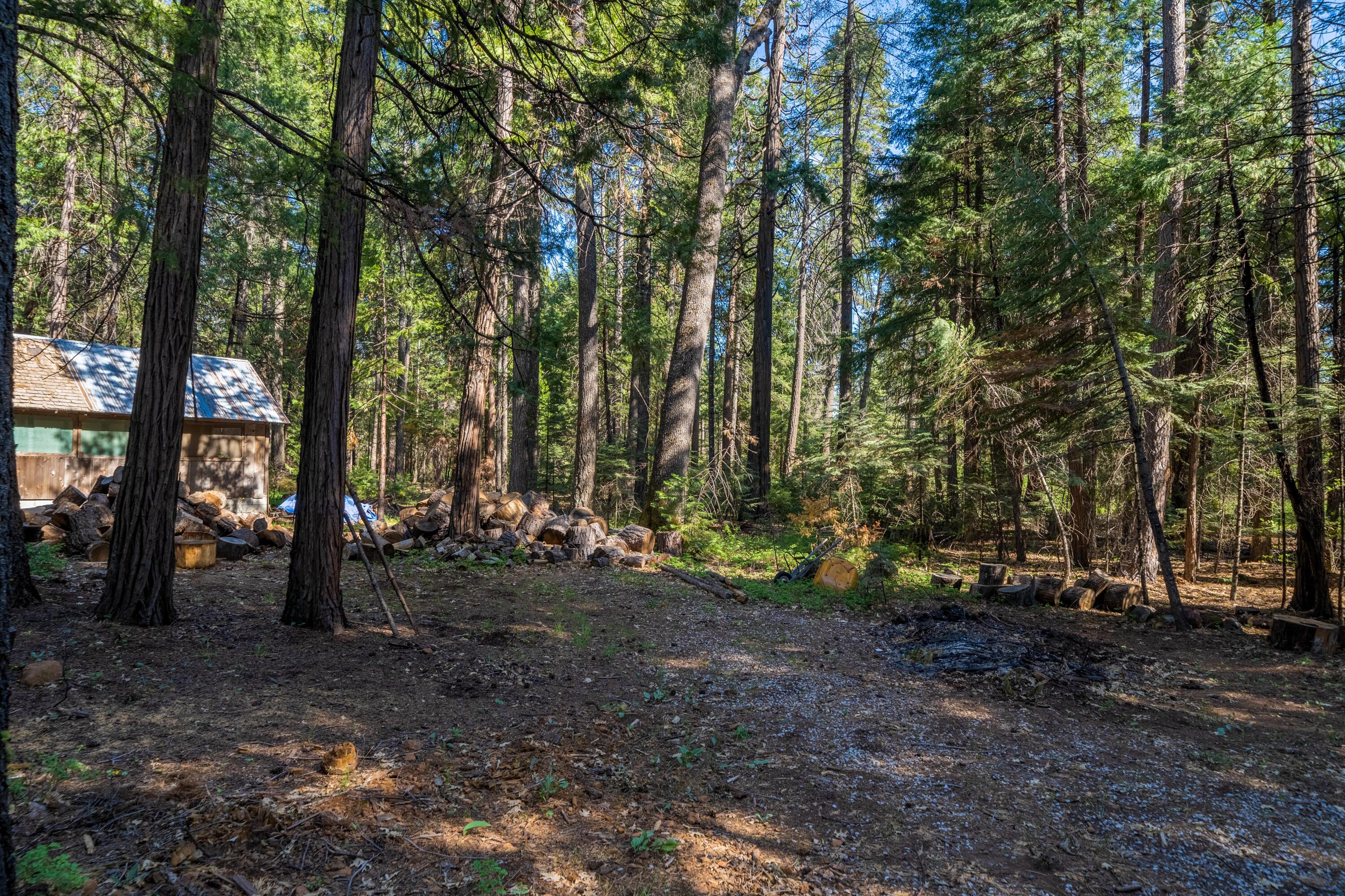 7509 Linda Road Shingletown, CA 96088 - Photo 14 of 16 HARRISONM-17