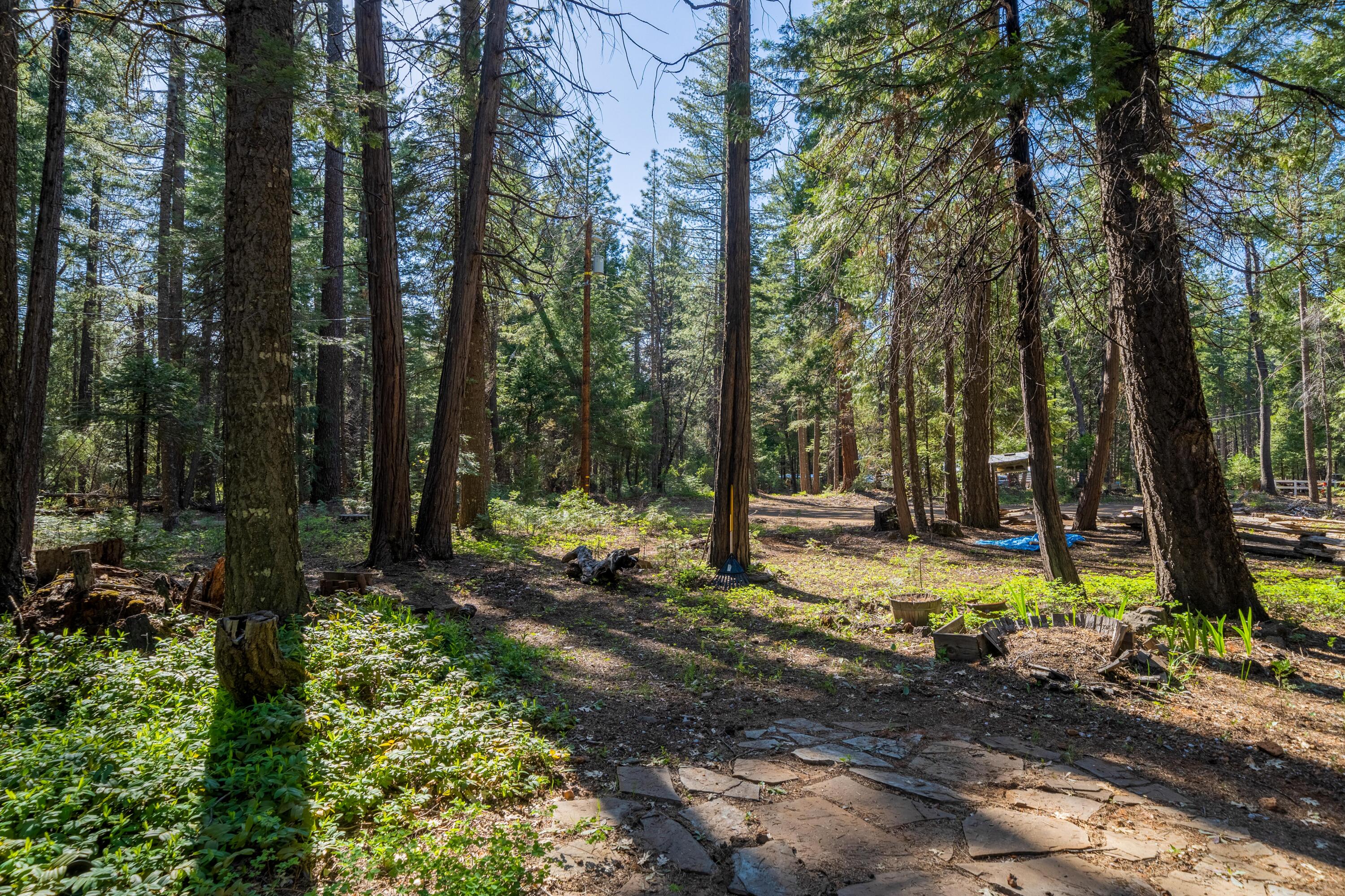7509 Linda Road Shingletown, CA 96088 - Photo 16 of 16 HARRISONM-02