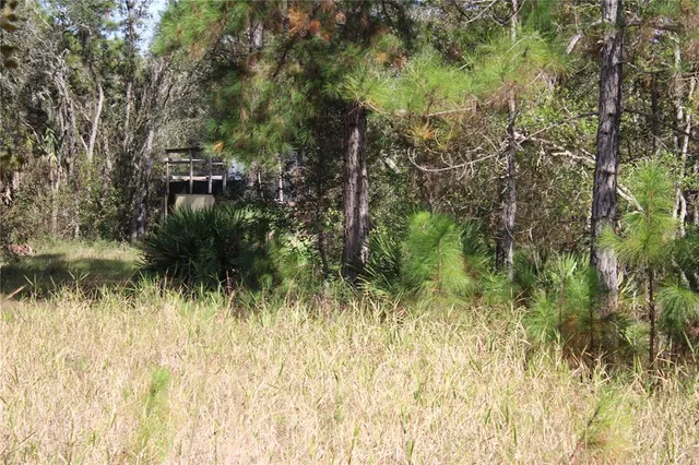 $550,000 | Duboise Drive, Clermont, FL 34714