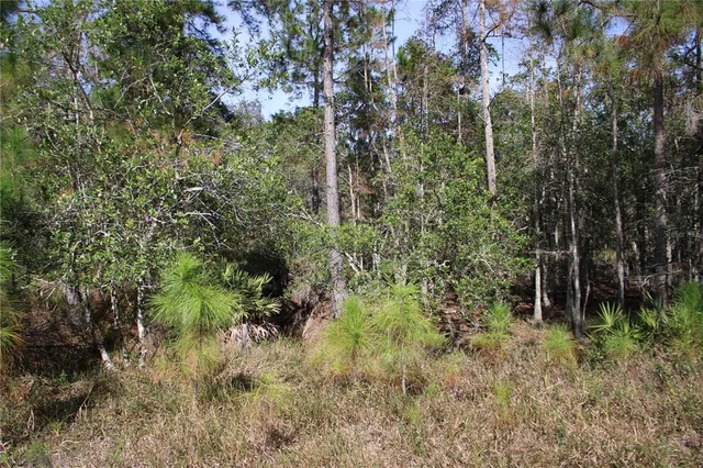 $550,000 | Duboise Drive, Clermont, FL 34714