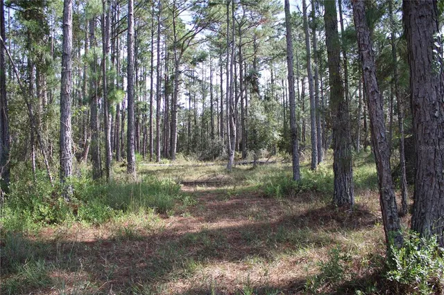 $550,000 | Duboise Drive, Clermont, FL 34714