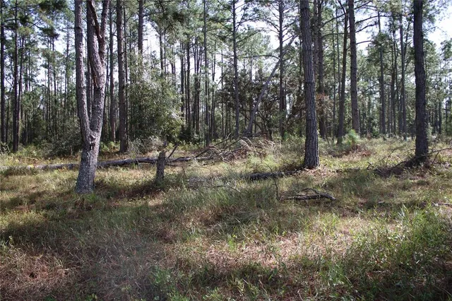 $550,000 | Duboise Drive, Clermont, FL 34714