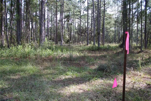 $550,000 | Duboise Drive, Clermont, FL 34714