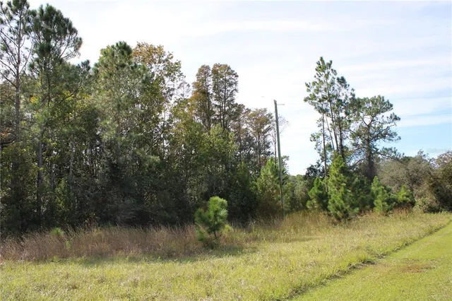 $550,000 | Duboise Drive, Clermont, FL 34714