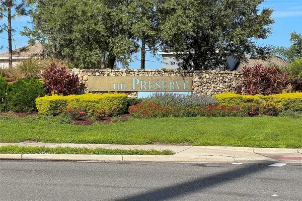 a view of a yard with flower plants