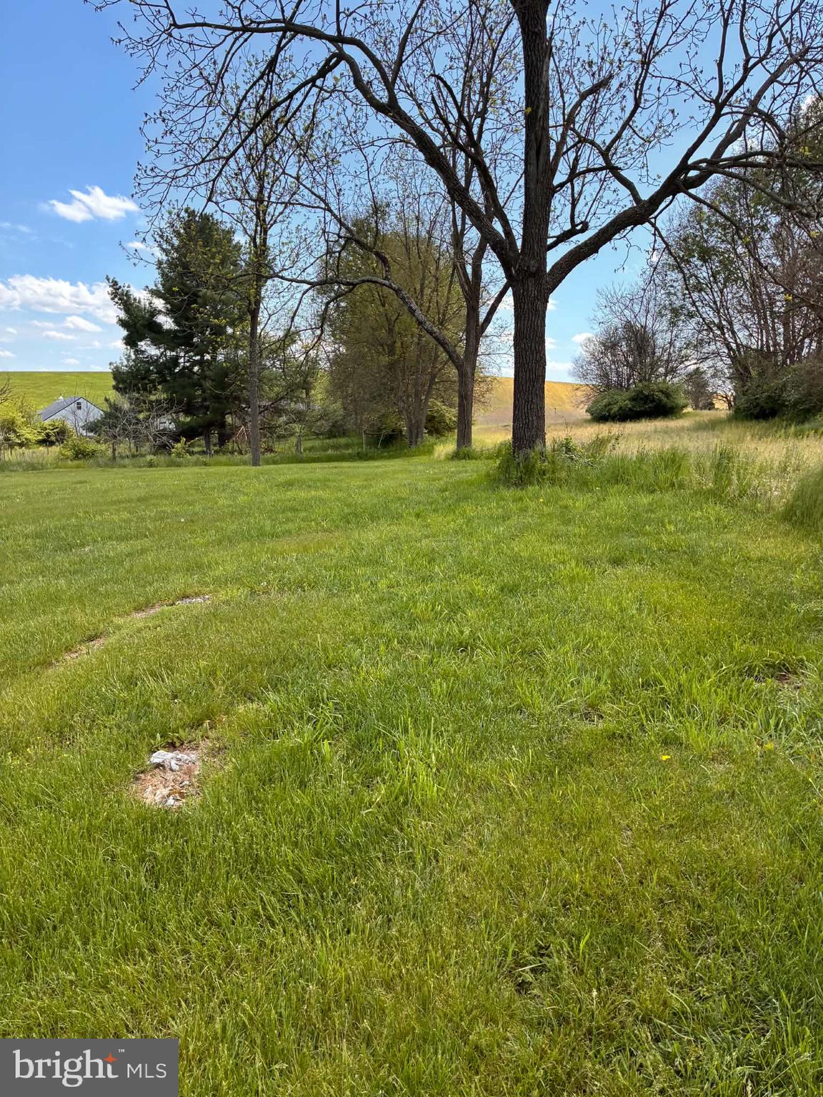 15219 Fairview Road Clear Spring, MD 21722 - Photo 7 of 10 a view of yard with tree