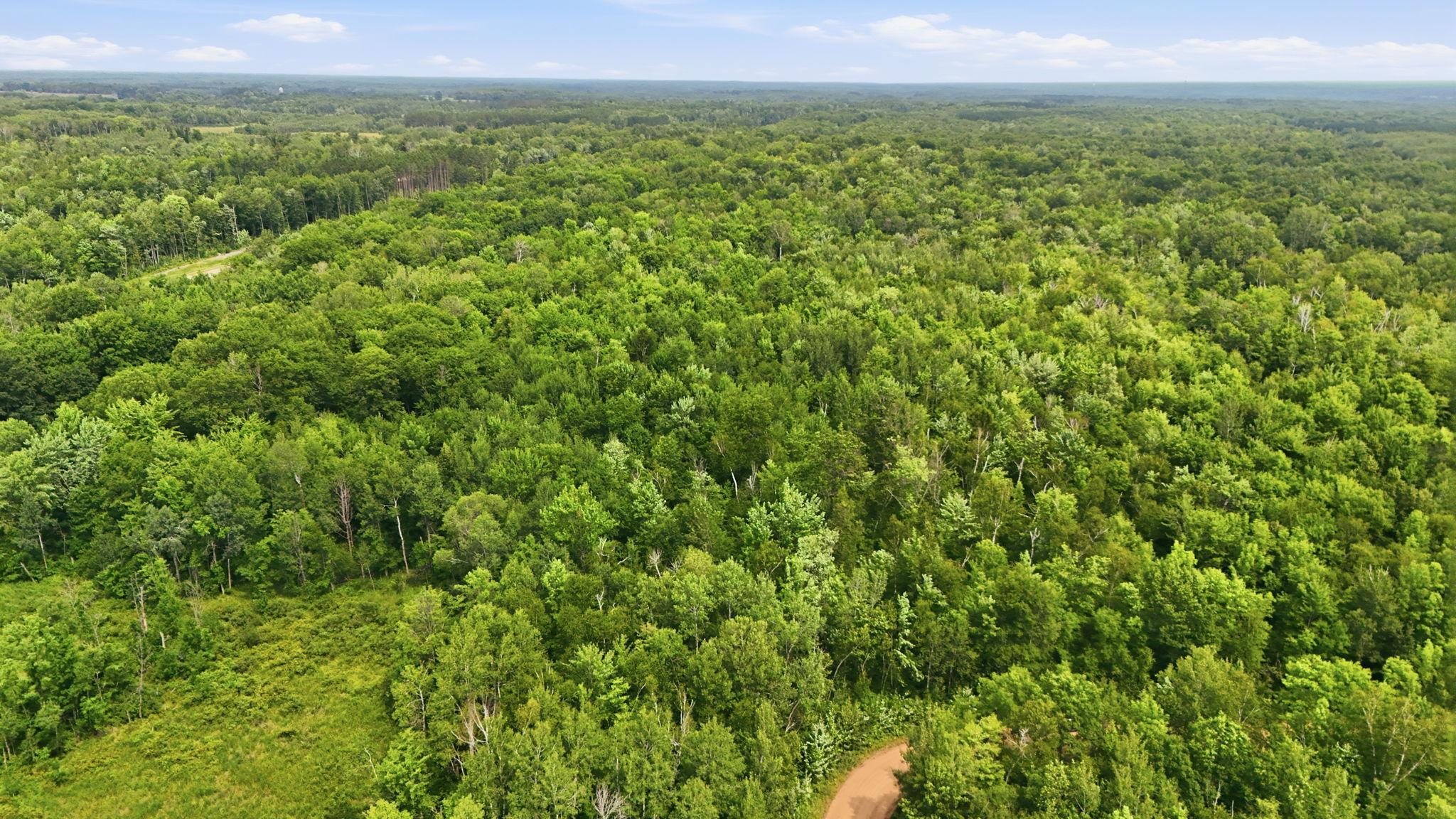 Tbd Taylor Birch Road Hinckley, MN 55037 - Photo 14 of 18 Gallery Image 14