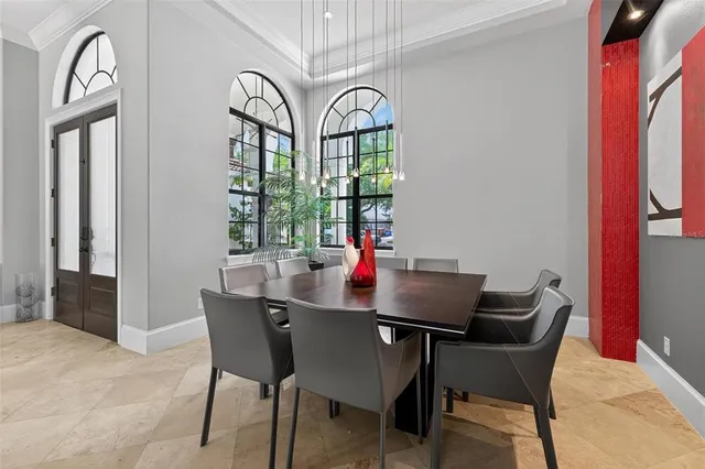 a view of a backyard with plants and large trees