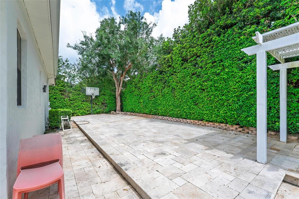 11015 Hawkshead Court Windermere, FL 34786 - Photo 77 of 90 a view of a backyard with plants and large trees