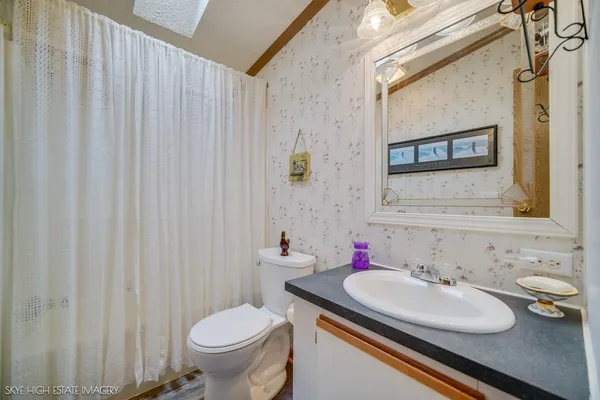 a bathroom with a sink and a toilet
