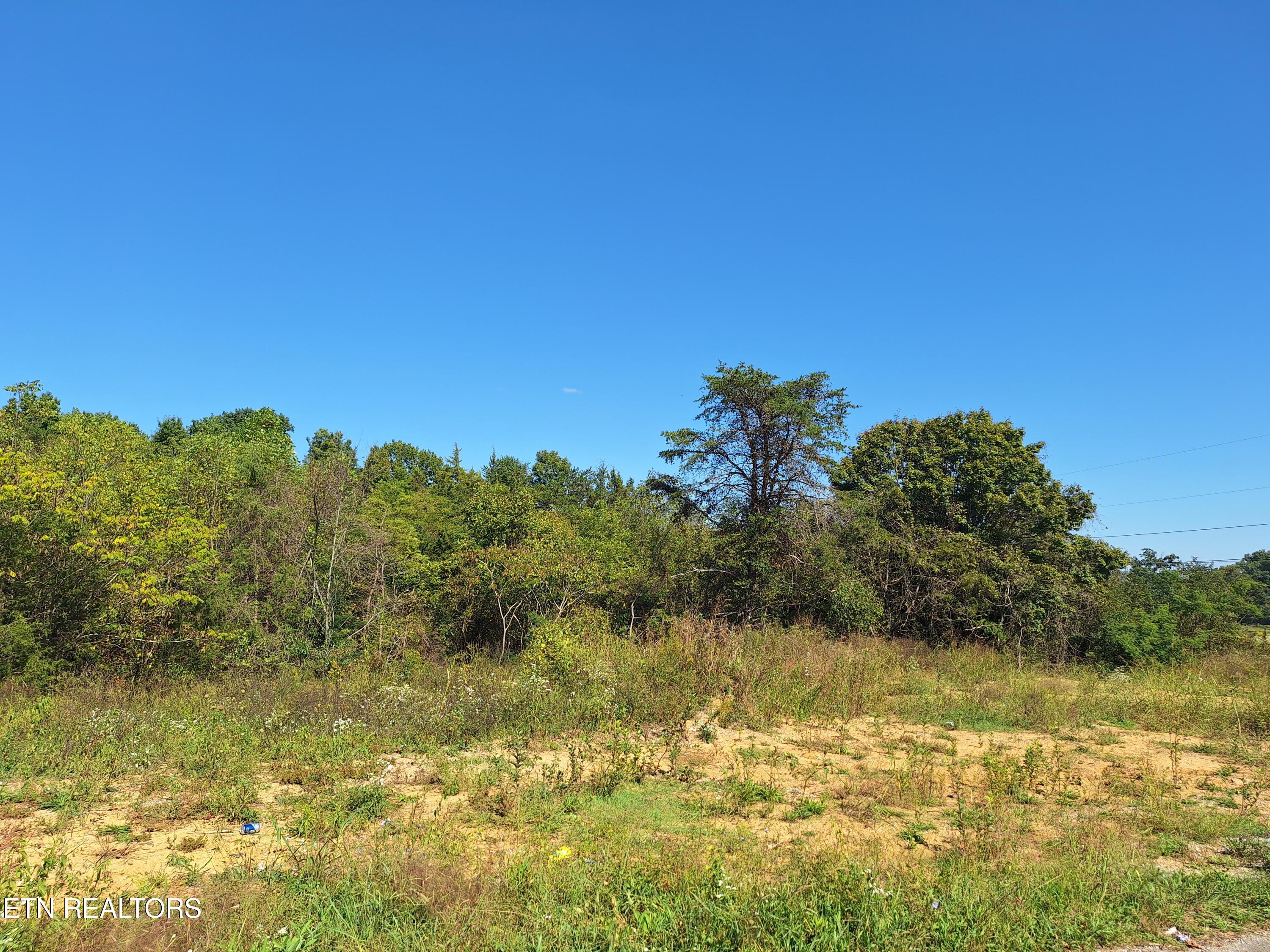 685 Weems Chapel Road Mosheim, TN 37818 - Photo 5 of 8 20241005_142406
