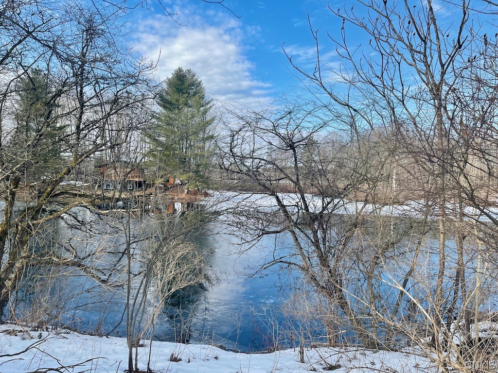 0 Fawn Lake Road Altmar, NY 13302 - Photo 1 of 1